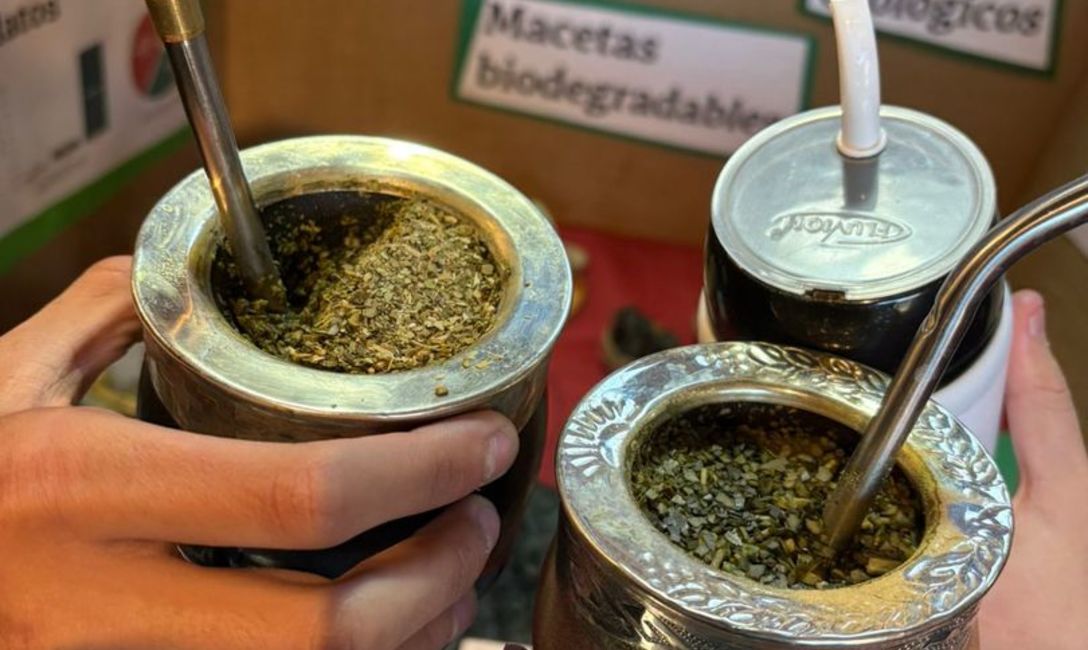 Imagen de El Mate en la Escuela, multiplicador del h&aacute;bito saludable, conocimientos y proyectos