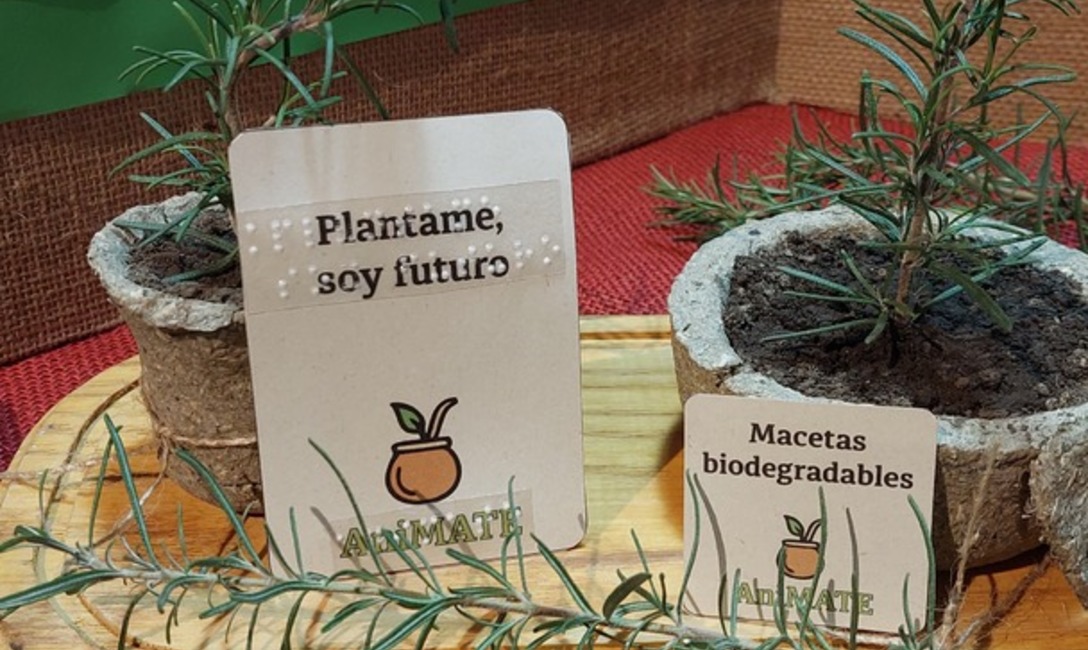Imagen de El Mate en la Escuela, multiplicador del h&aacute;bito saludable, conocimientos y proyectos