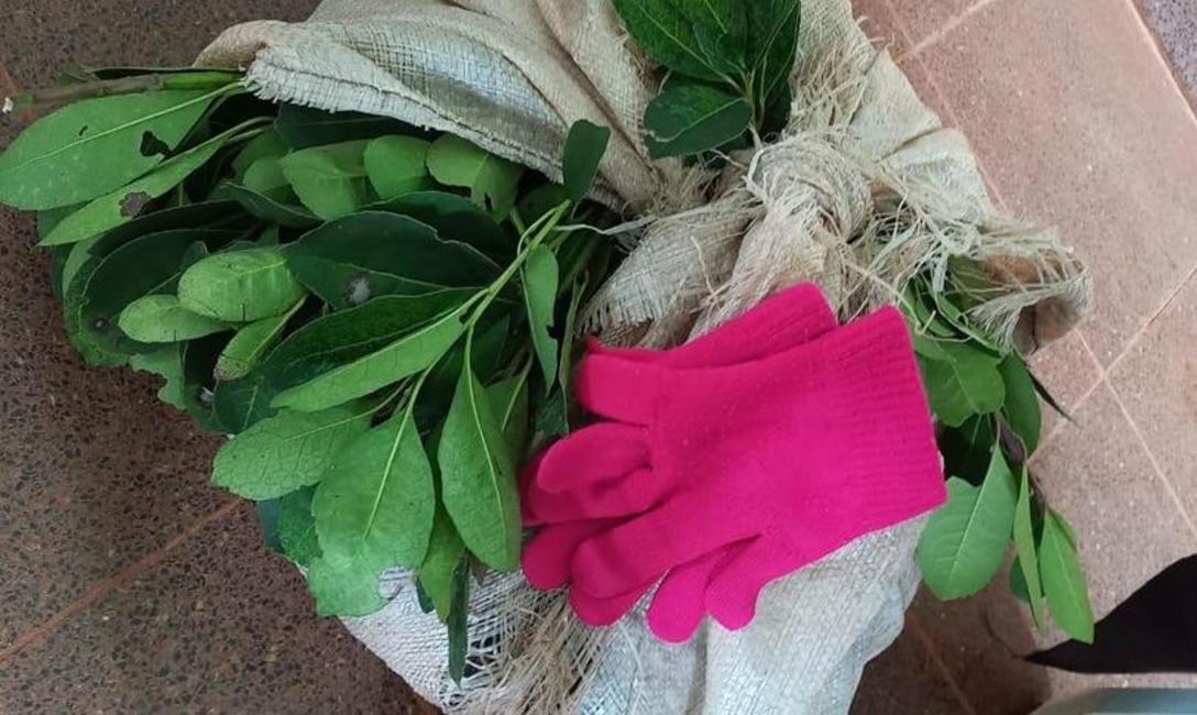 Imagen de El Mate en la Escuela, multiplicador del h&aacute;bito saludable, conocimientos y proyectos