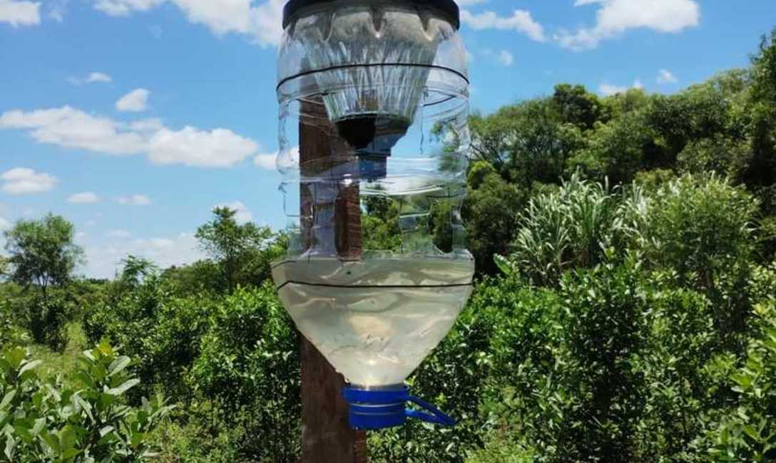 Imagen de Buenos resultados en trampas lum&iacute;nicas del INYM para el marandov&aacute; y proyecci&oacute;n para optimizar la iniciativa y el manejo de la plaga en yerba mate