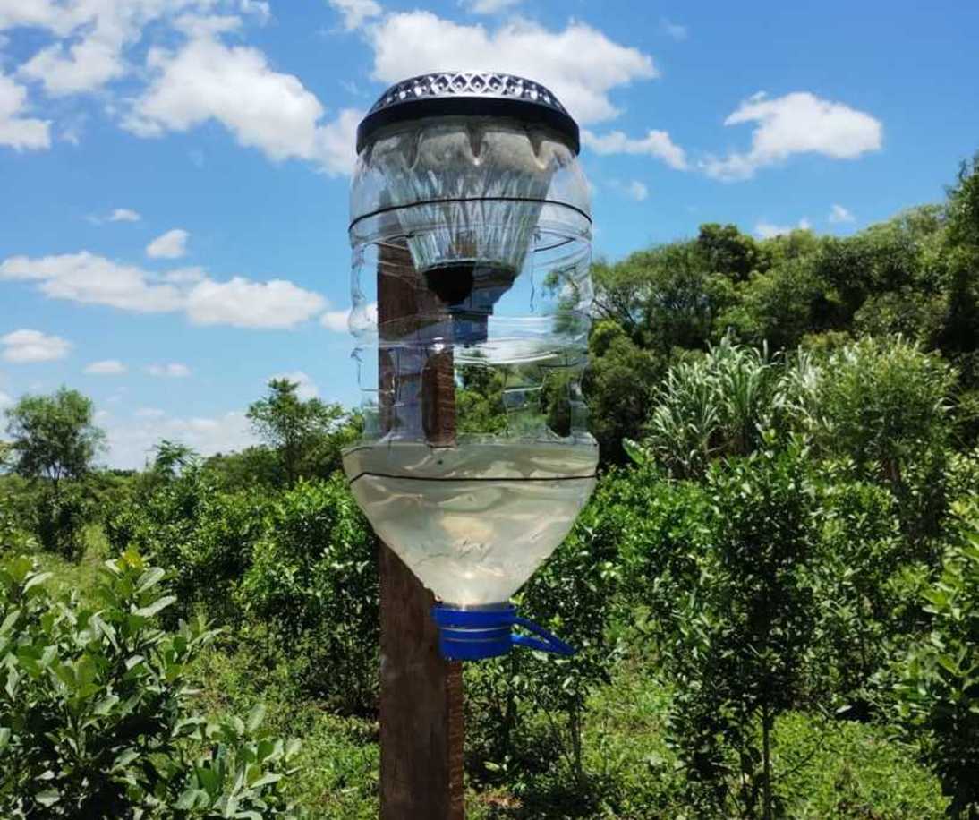 Imagen de Buenos resultados en trampas lumínicas del INYM para el marandová y proyección para optimizar la iniciativa y el manejo de la plaga en yerba mate