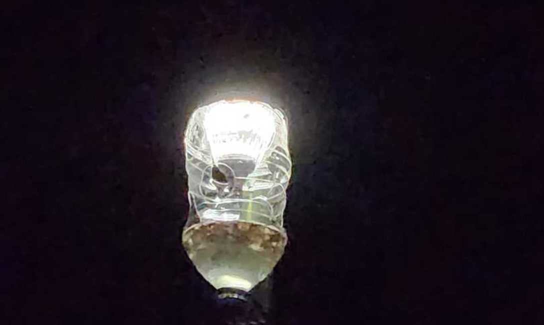Imagen de Buenos resultados en trampas lum&iacute;nicas del INYM para el marandov&aacute; y proyecci&oacute;n para optimizar la iniciativa y el manejo de la plaga en yerba mate