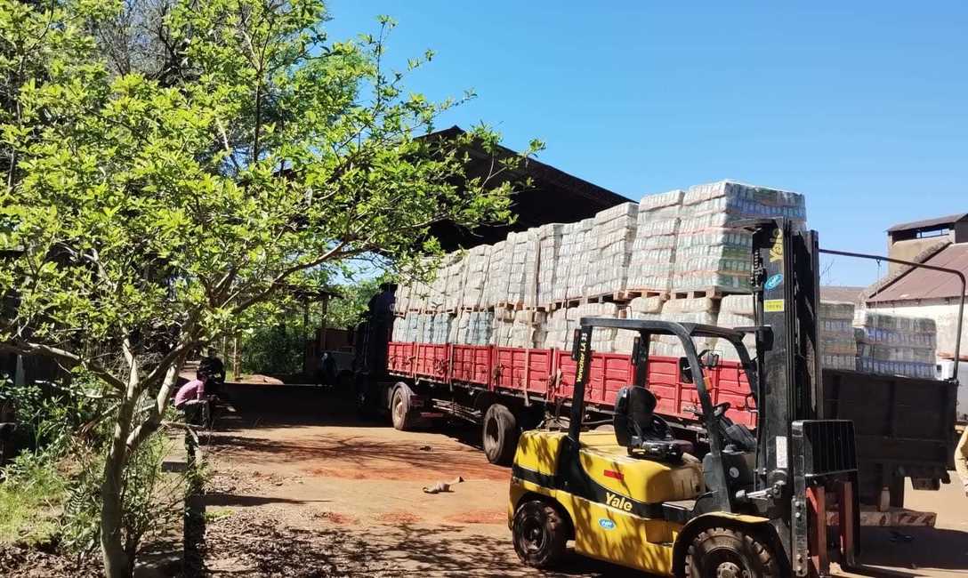 Imagen de El INYM clausur&oacute; un molino, intervino 33 mil kilos de yerba mate envasada y 150 mil kilos de palitos
