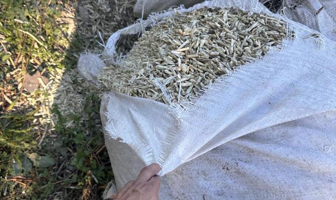 Imagen de El INYM clausur&oacute; un molino, intervino 33 mil kilos de yerba mate envasada y 150 mil kilos de palitos