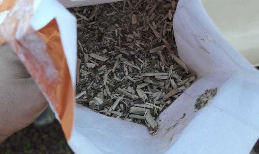 Imagen de El INYM clausur&oacute; un molino, intervino 33 mil kilos de yerba mate envasada y 150 mil kilos de palitos