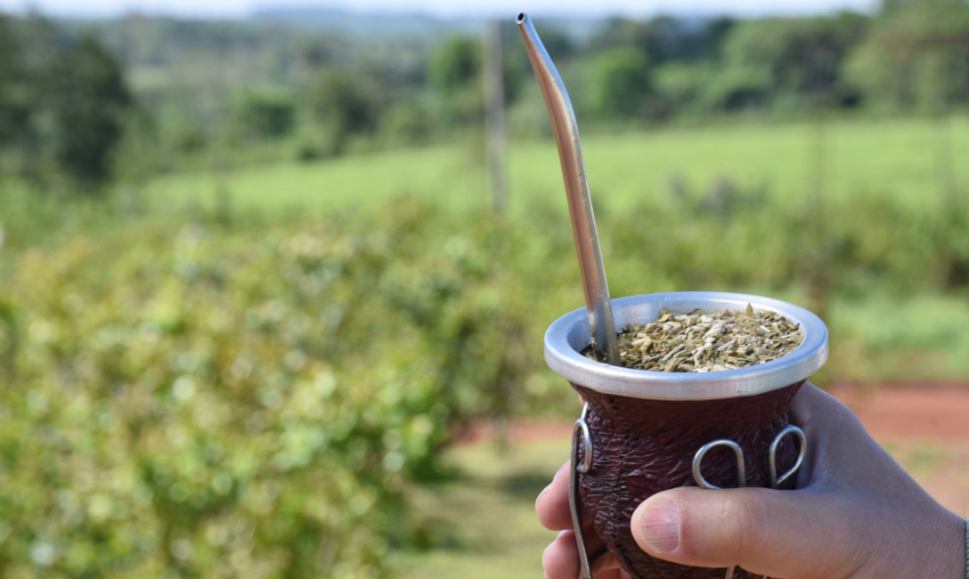 Imagen de Las ventas de yerba mate se mantienen firmes en el mercado local y en las exportaciones