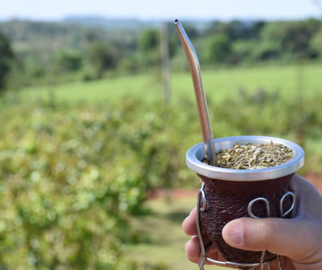 Imagen de Las ventas de yerba mate se mantienen firmes en el mercado local y en las exportaciones