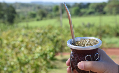 Imagen de Las ventas de yerba mate se mantienen firmes en el mercado local y en las exportaciones