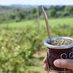 Imagen de Las ventas de yerba mate se mantienen firmes en el mercado local y en las exportaciones