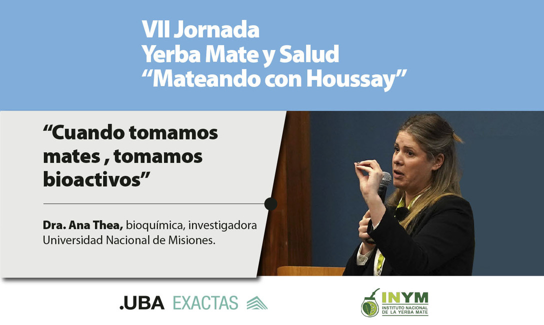 Imagen de Cuando tomamos mate, nos hidratamos e incorporamos antioxidantes al organismo