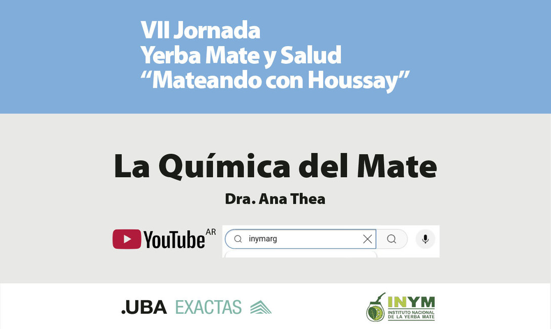 Imagen de Cuando tomamos mate, nos hidratamos e incorporamos antioxidantes al organismo