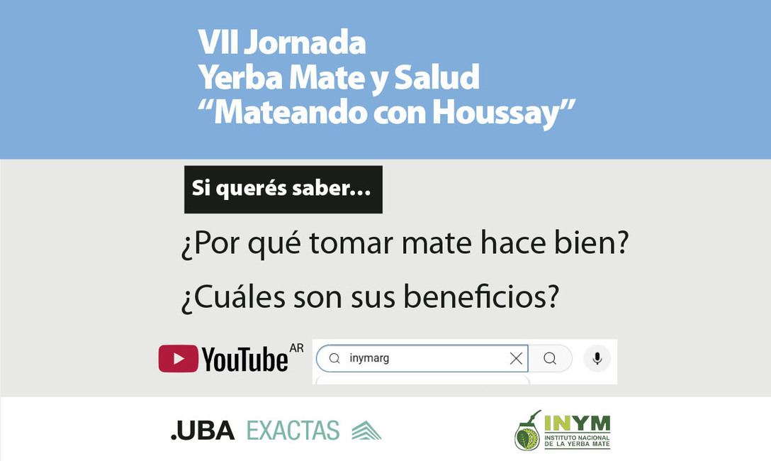 Imagen de Cuando tomamos mate, nos hidratamos e incorporamos antioxidantes al organismo