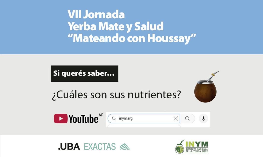 Imagen de Cuando tomamos mate, nos hidratamos e incorporamos antioxidantes al organismo