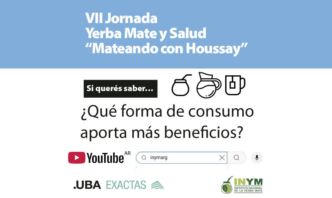 Imagen de Cuando tomamos mate, nos hidratamos e incorporamos antioxidantes al organismo