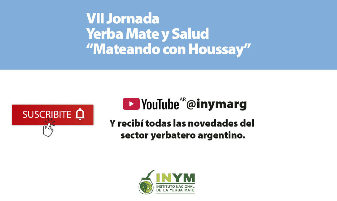 Imagen de Cuando tomamos mate, nos hidratamos e incorporamos antioxidantes al organismo