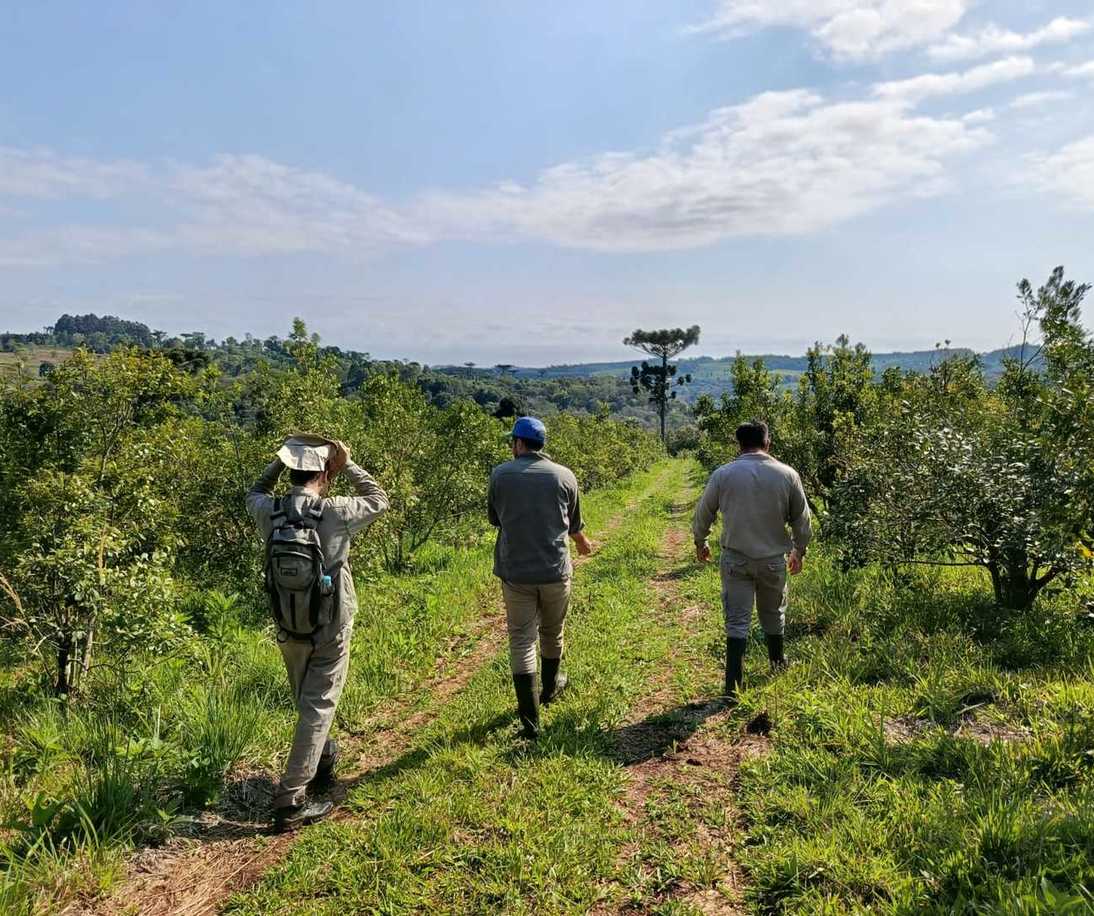 Imagen de Recorrido por yerbales con prácticas amigables con la naturaleza