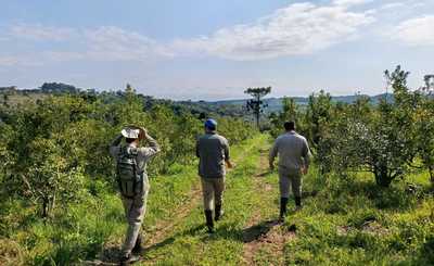 Imagen de Recorrido por yerbales con prácticas amigables con la naturaleza