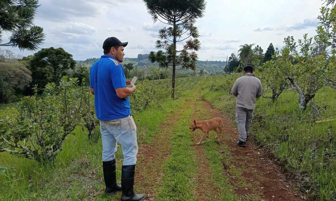 Imagen de Recorrido por yerbales con pr&aacute;cticas amigables con la naturaleza
