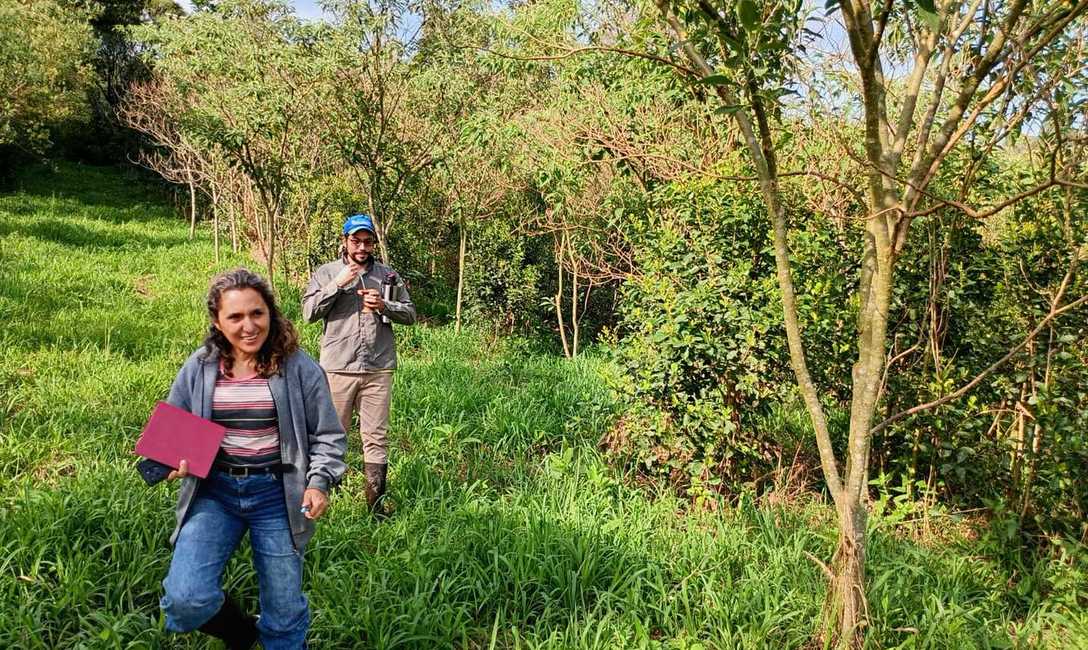 Imagen de Recorrido por yerbales con pr&aacute;cticas amigables con la naturaleza