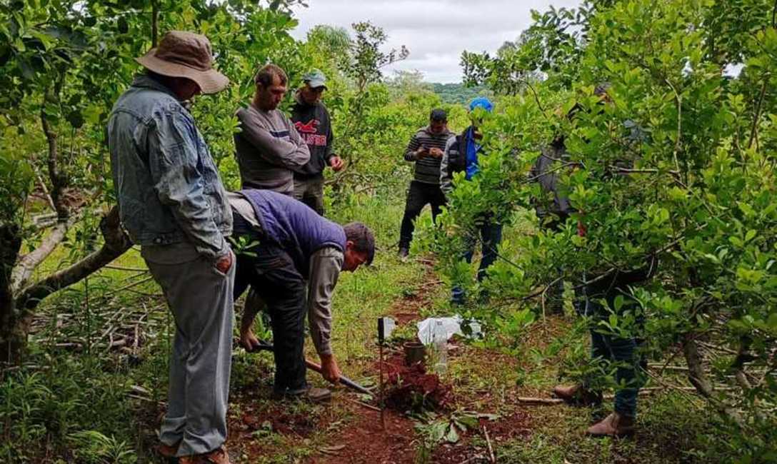 Imagen de Manejo de suelos, eje principal de la capacitaci&oacute;n con productores de El Soberbio
