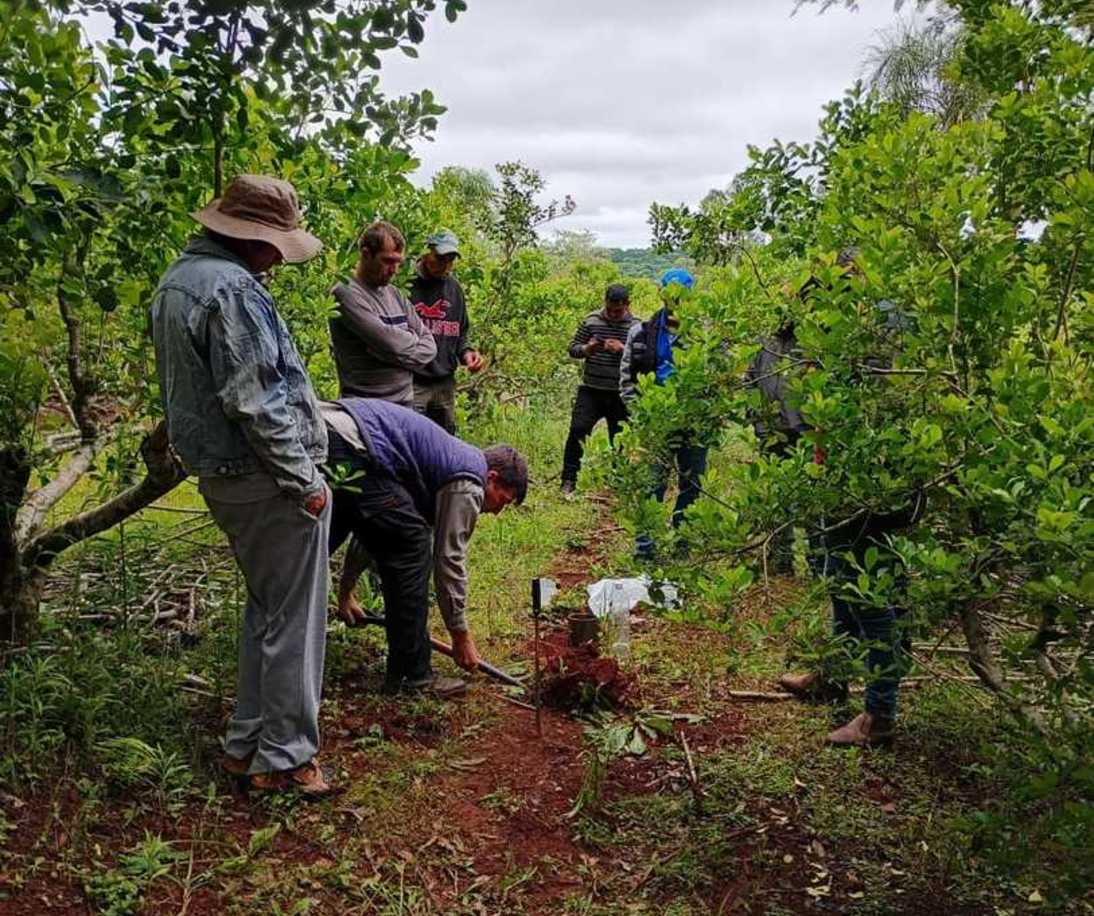 Imagen de Manejo de suelos, eje principal de la capacitación con productores de El Soberbio