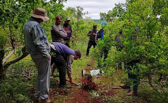 Imagen de Manejo de suelos, eje principal de la capacitación con productores de El Soberbio