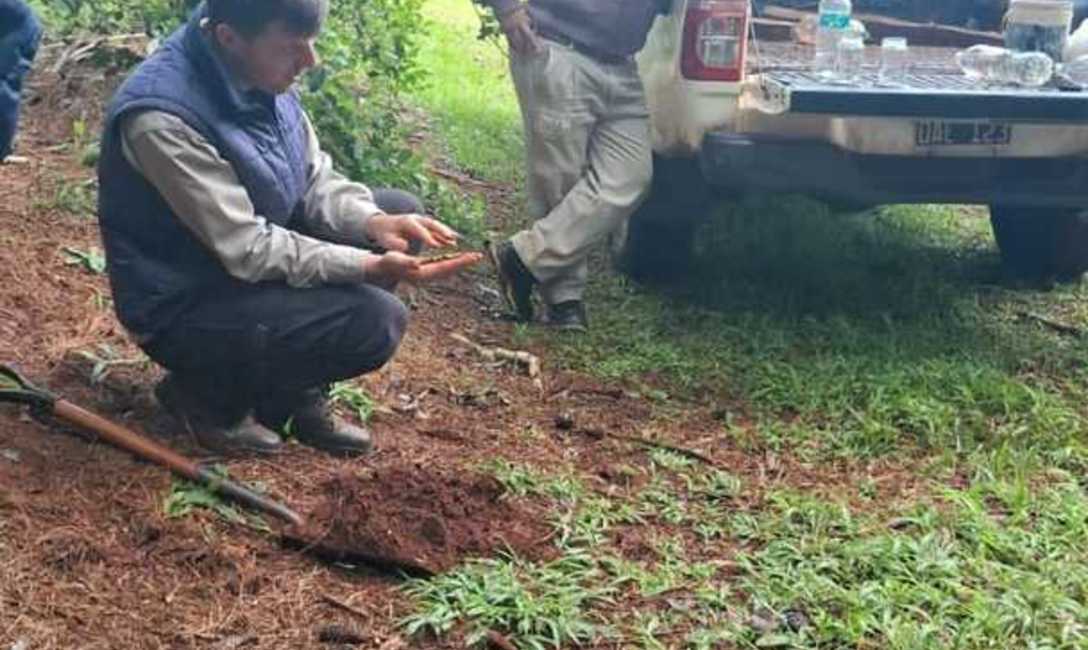 Imagen de Manejo de suelos, eje principal de la capacitaci&oacute;n con productores de El Soberbio