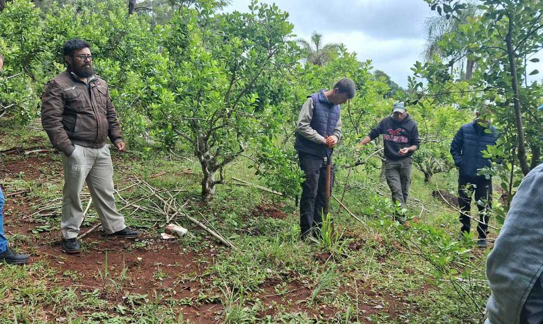 Imagen de Manejo de suelos, eje principal de la capacitaci&oacute;n con productores de El Soberbio