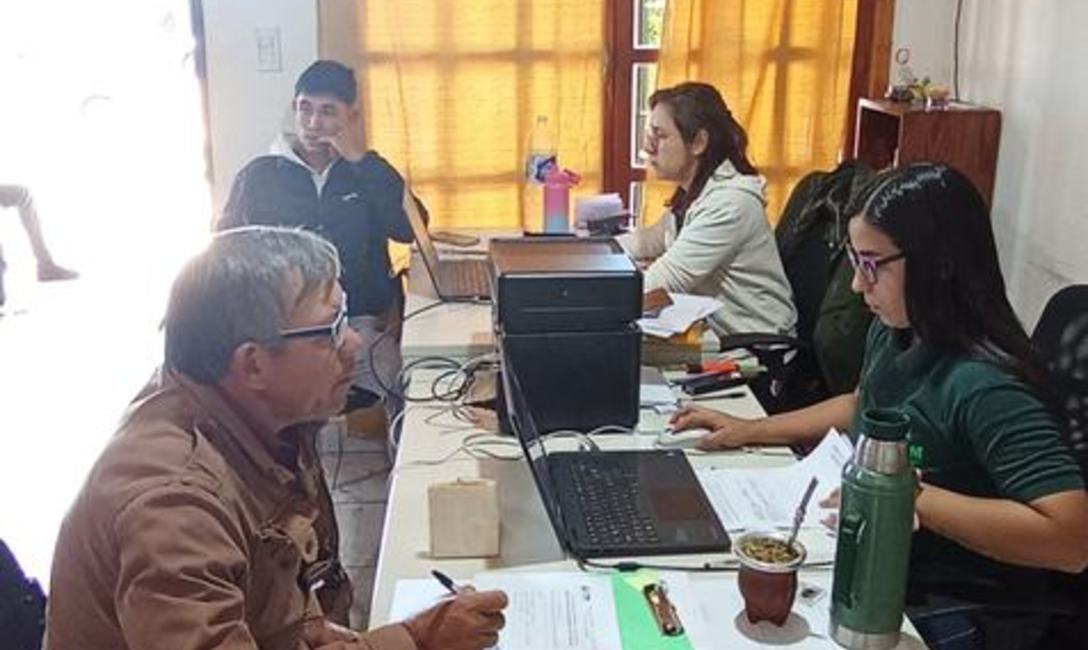 Imagen de Registro de productores y yerbales en San Pedro