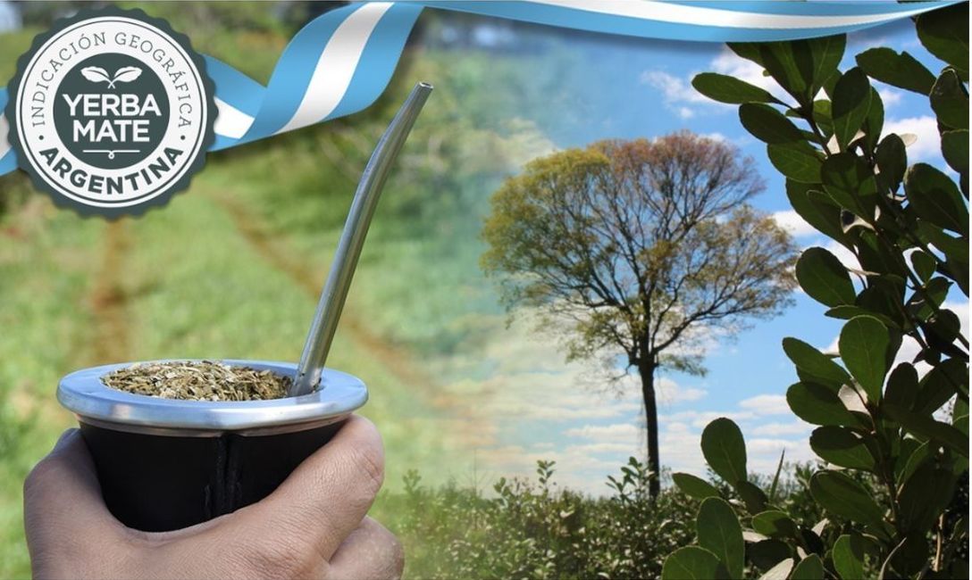 Imagen de Sello de Indicación Geográfica, una herramienta que aporta valor agregado a la Yerba Mate Argentina y está disponible para el sector yerbatero Imagen de Sello de Indicación Geográfica, una herramienta que aporta valor agregado a la Yerba Mate Argentina y está disponible para el sector yerbatero
