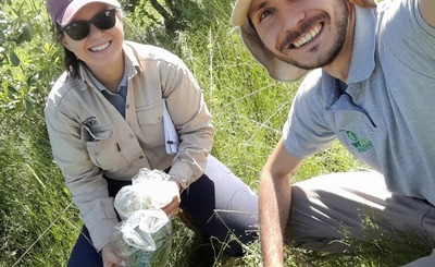 Imagen de El uso del abono natural produce mayor cantidad de materia verde y aumenta la diversidad de la cobertura verde espontánea en el cultivo de yerba mate Imagen de El uso del abono natural produce mayor cantidad de materia verde y aumenta la diversidad de la cobertura verde espontánea en el cultivo de yerba mate