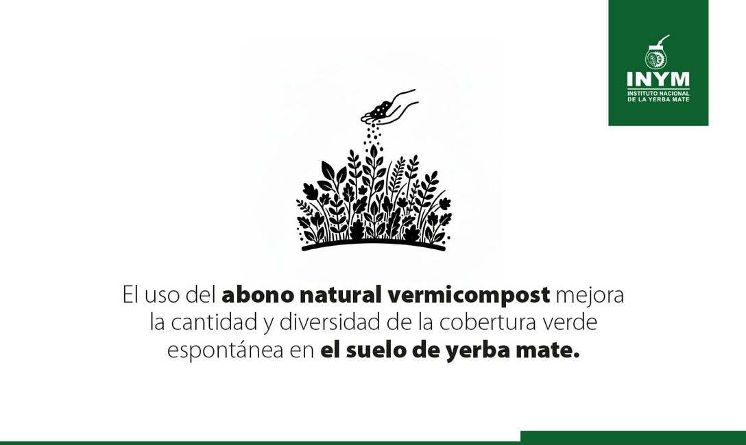 Imagen de El uso del abono natural produce mayor cantidad de materia verde y aumenta la diversidad de la cobertura verde espontánea en el cultivo de yerba mate Imagen de El uso del abono natural produce mayor cantidad de materia verde y aumenta la diversidad de la cobertura verde espontánea en el cultivo de yerba mate