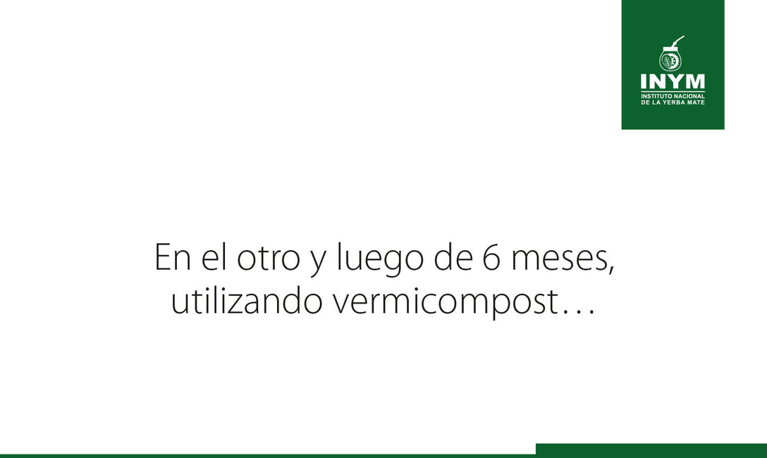 Imagen de El uso del abono natural produce mayor cantidad de materia verde y aumenta la diversidad de la cobertura verde espontánea en el cultivo de yerba mate Imagen de El uso del abono natural produce mayor cantidad de materia verde y aumenta la diversidad de la cobertura verde espontánea en el cultivo de yerba mate