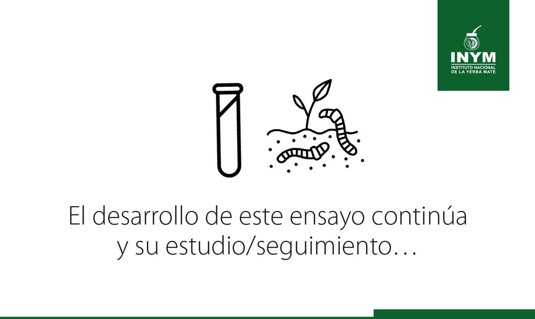 Imagen de El uso del abono natural produce mayor cantidad de materia verde y aumenta la diversidad de la cobertura verde espontánea en el cultivo de yerba mate Imagen de El uso del abono natural produce mayor cantidad de materia verde y aumenta la diversidad de la cobertura verde espontánea en el cultivo de yerba mate