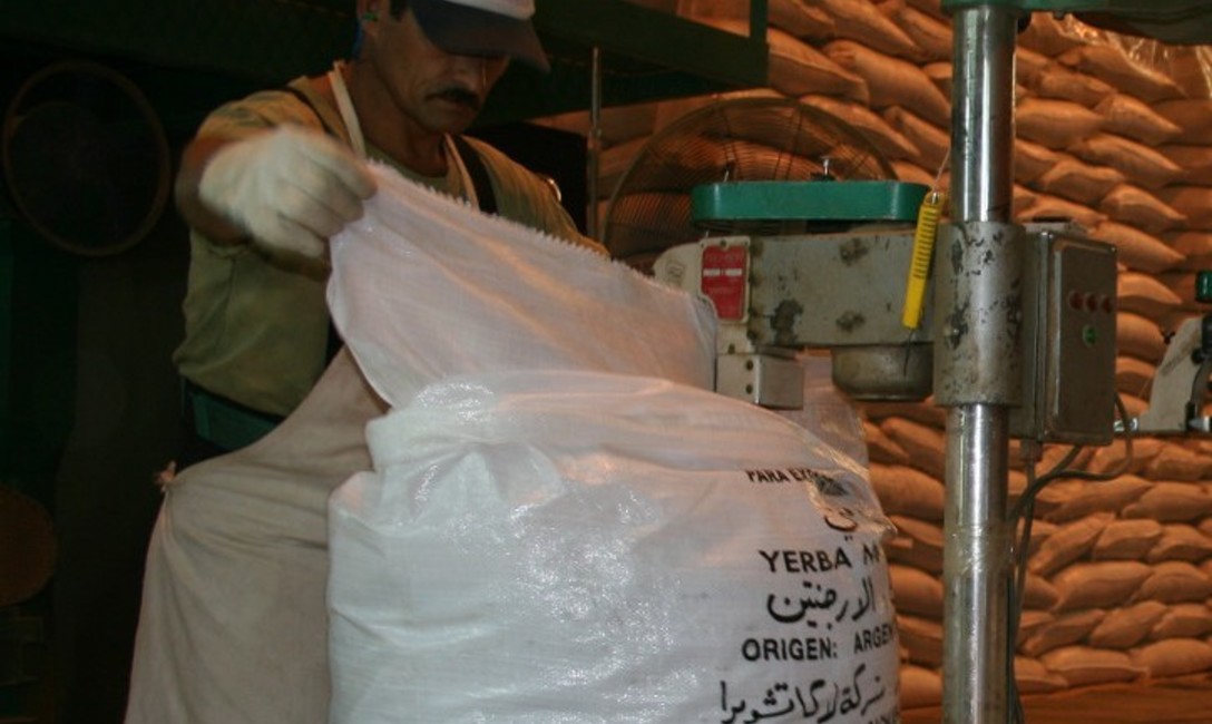 Imagen de Las exportaciones de yerba mate alcanzaron un r&eacute;cord hist&oacute;rico al cierre de octubre