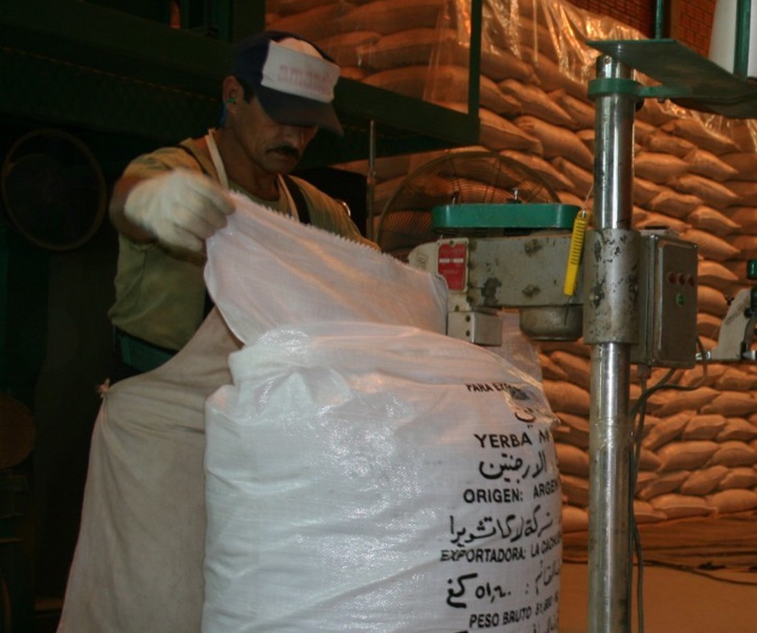 Imagen de Las exportaciones de yerba mate alcanzaron un récord histórico al cierre de octubre