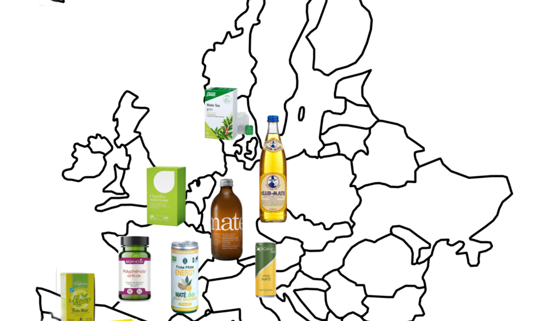 Imagen de Destacan a Europa como un mercado clave para la exportación de yerba mate argentina Imagen de Destacan a Europa como un mercado clave para la exportación de yerba mate argentina