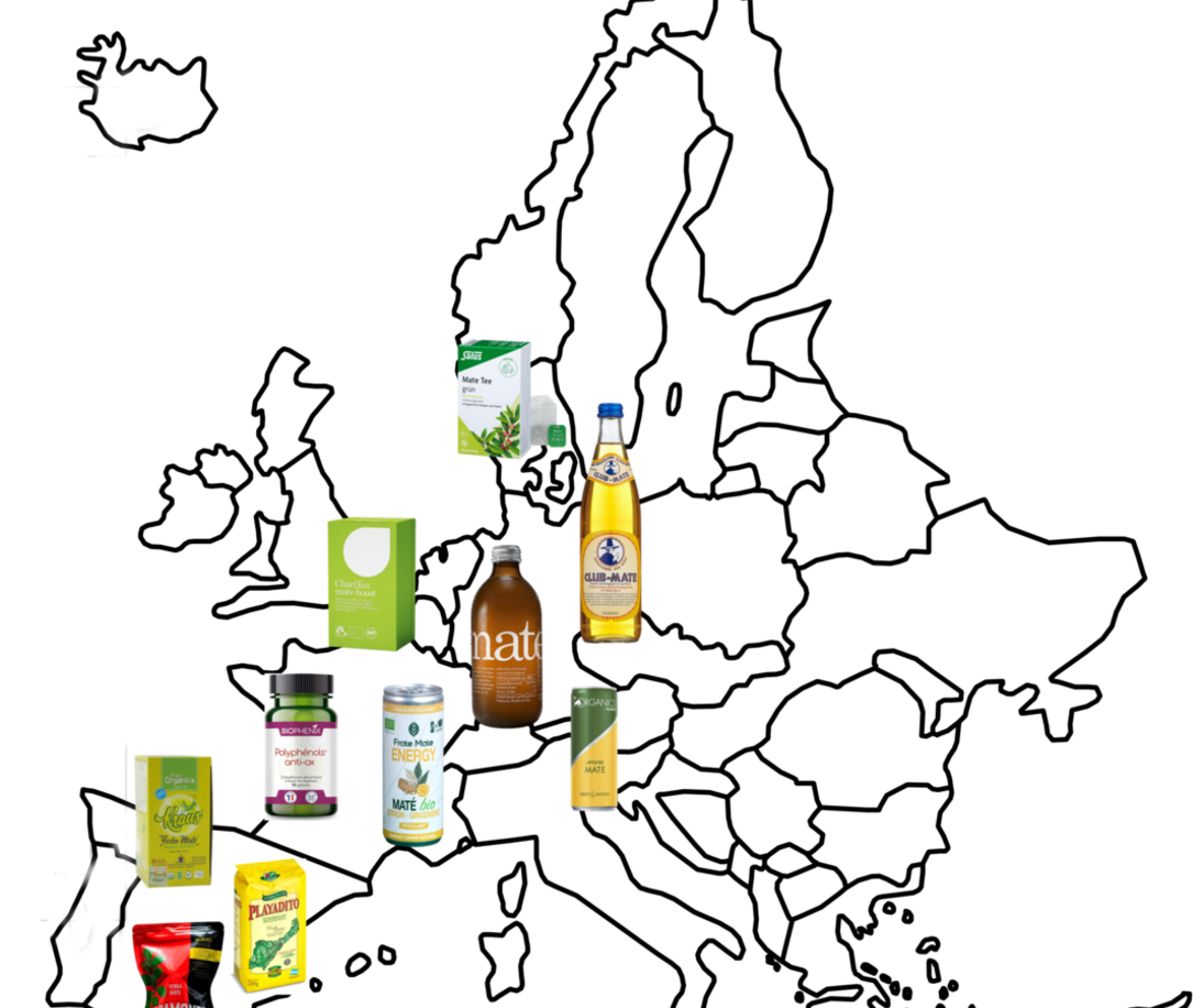 Imagen de Destacan a Europa como un mercado clave para la exportación de yerba mate argentina