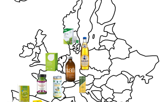 Imagen de Destacan a Europa como un mercado clave para la exportación de yerba mate argentina