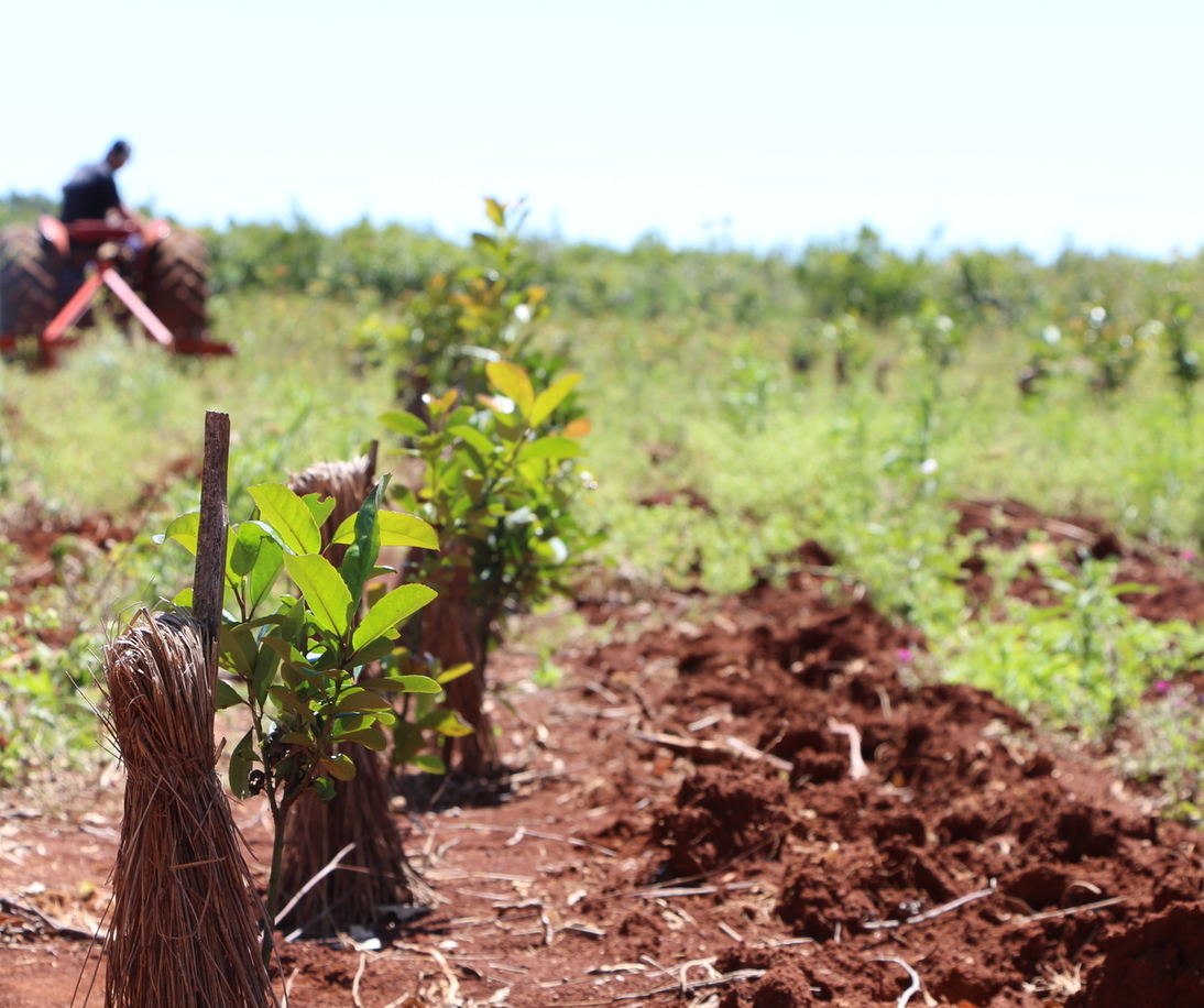 Imagen de El INYM adhiere a los feriados administrativos del 24 y 31 de diciembre