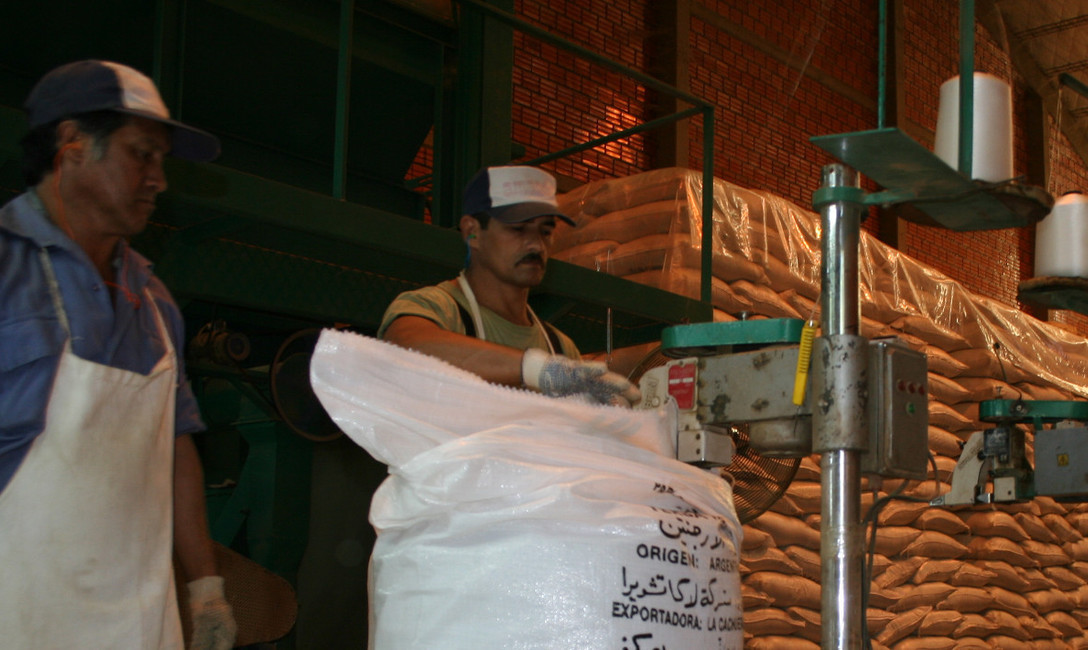 Imagen de Las exportaciones siguen marcando un récord histórico y el mercado interno continúa en franca recuperación Imagen de Las exportaciones siguen marcando un récord histórico y el mercado interno continúa en franca recuperación