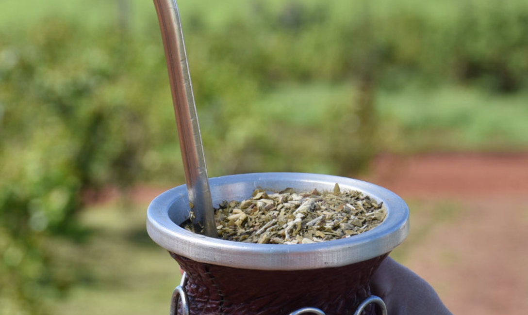 Imagen de Entre mercado interno y exportaciones, las salidas de yerba mate superaron los 104 millones de kilos entre enero y abril Imagen de Entre mercado interno y exportaciones, las salidas de yerba mate superaron los 104 millones de kilos entre enero y abril